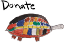 tortuga-colorida